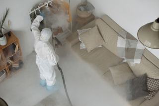 Fumigation insectes : traitement par gaz des infestations