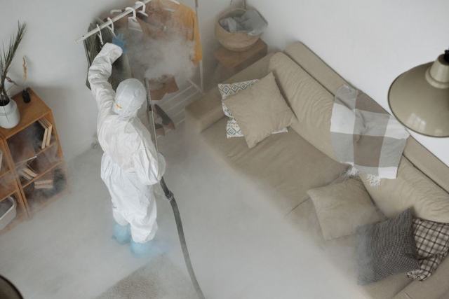 Fumigation : quand et comment traiter par gaz les insectes Fumigation : quand et comment traiter par gaz les insectes